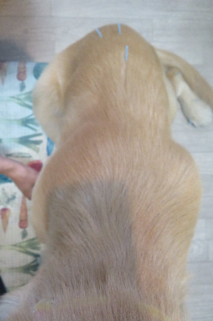 ファイル 6735-5.jpg