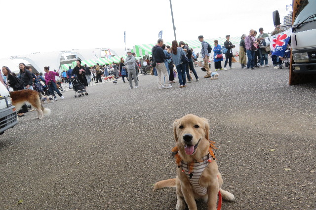 ファイル 6736-1.jpg