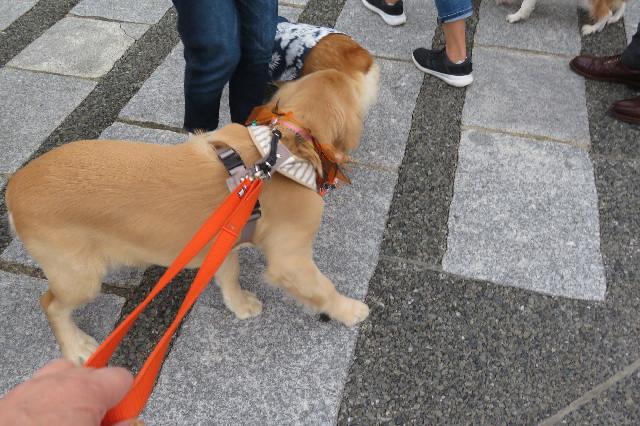 ファイル 6736-2.jpg