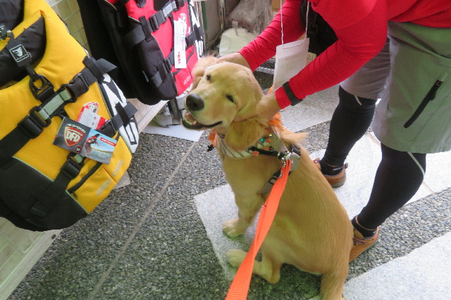 ファイル 6736-4.jpg