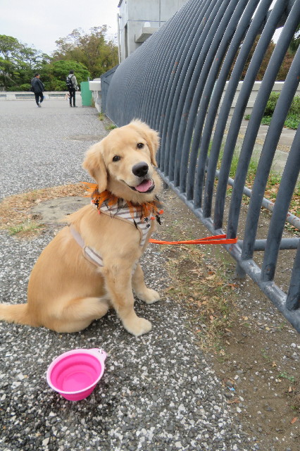 ファイル 6737-1.jpg