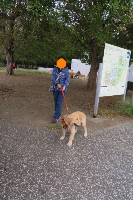 ファイル 6737-3.jpg