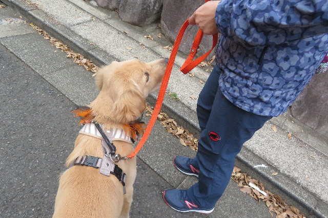 ファイル 6737-4.jpg