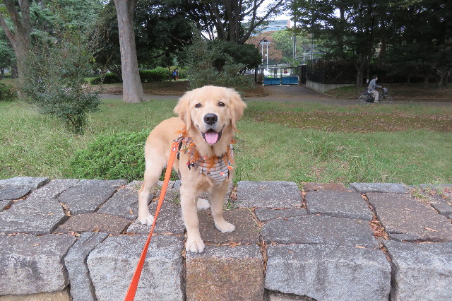 ファイル 6738-1.jpg