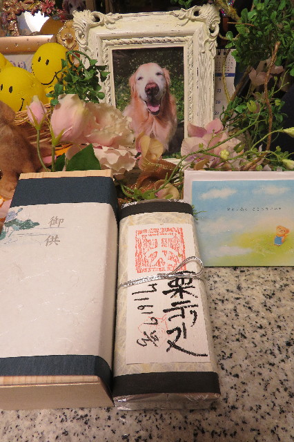 ファイル 6738-2.jpg