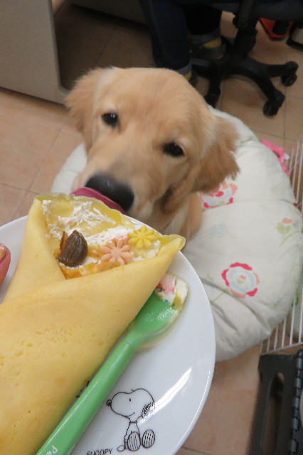 ファイル 6738-3.jpg