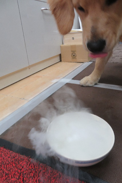 ファイル 6740-2.jpg