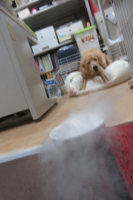 ファイル 6740-4.jpg