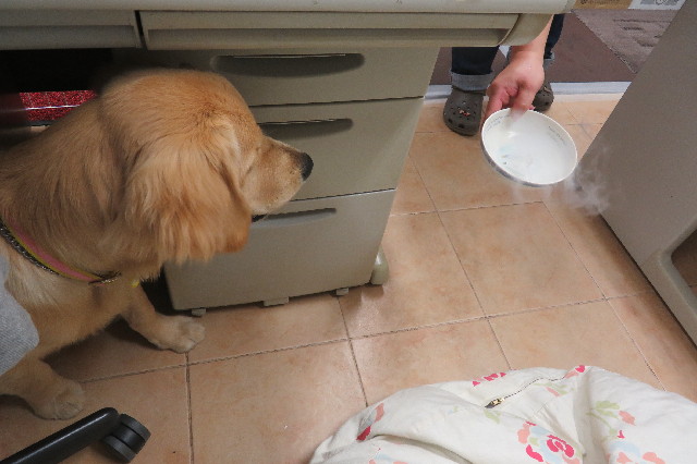 ファイル 6740-5.jpg