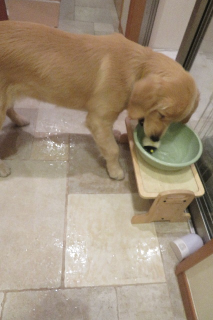 ファイル 6741-5.jpg