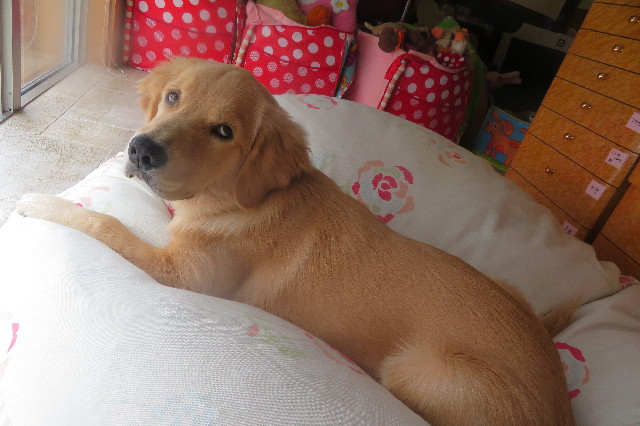 ファイル 6742-3.jpg