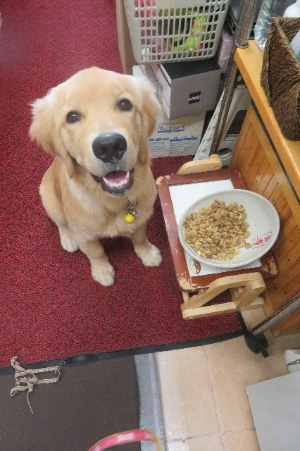 ファイル 6742-5.jpg