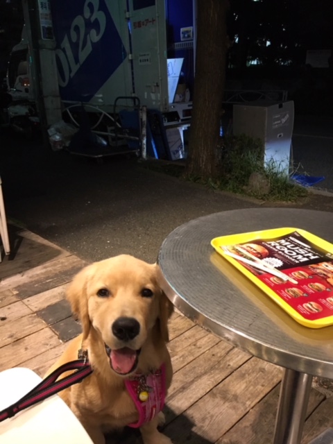 ファイル 6743-5.jpg