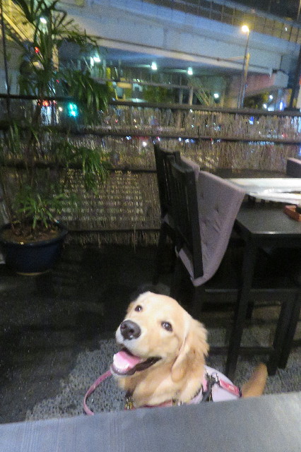 ファイル 6744-2.jpg