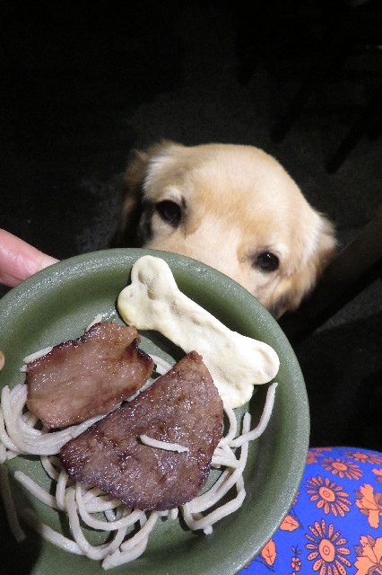 ファイル 6744-4.jpg