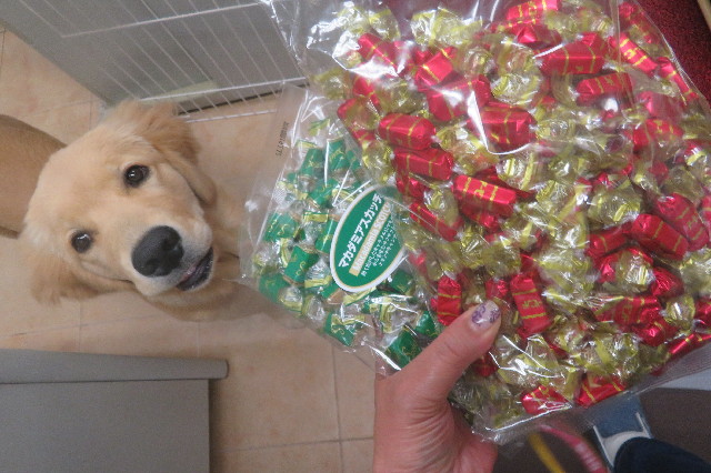 ファイル 6745-1.jpg