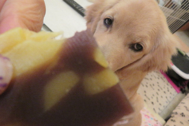 ファイル 6745-3.jpg