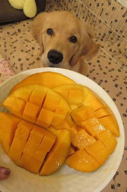 ファイル 6745-4.jpg