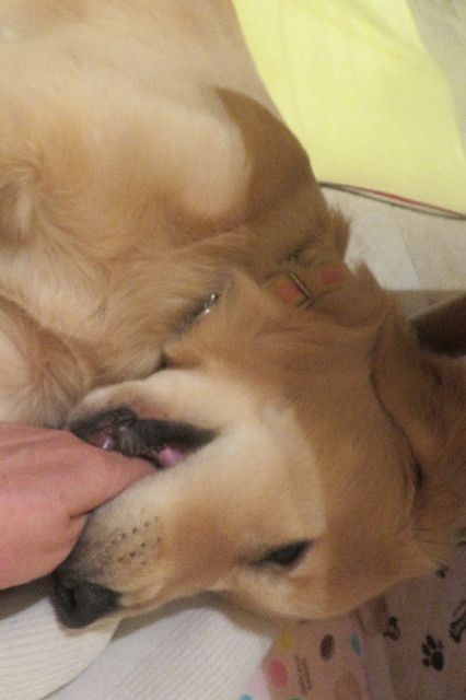 ファイル 6745-5.jpg