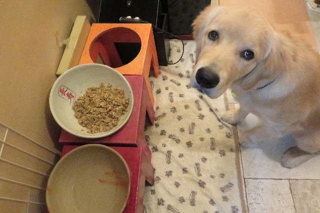 ファイル 6746-1.jpg