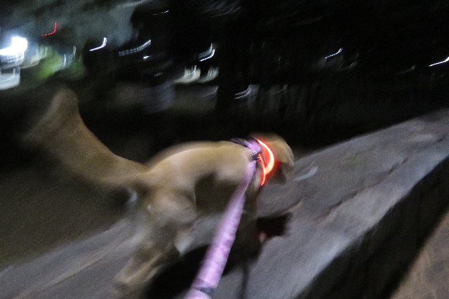 ファイル 6746-2.jpg