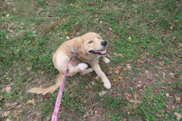 ファイル 6747-2.jpg