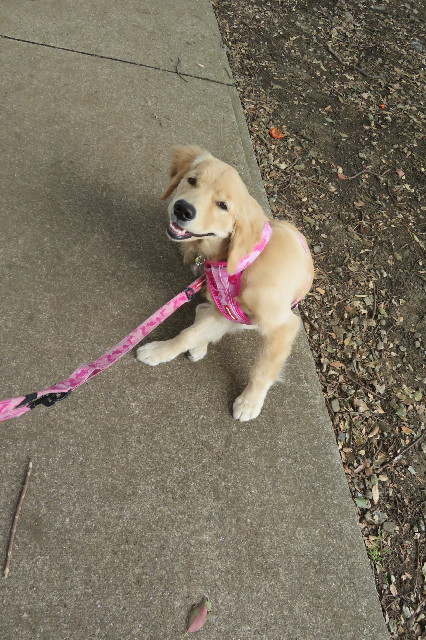 ファイル 6747-3.jpg