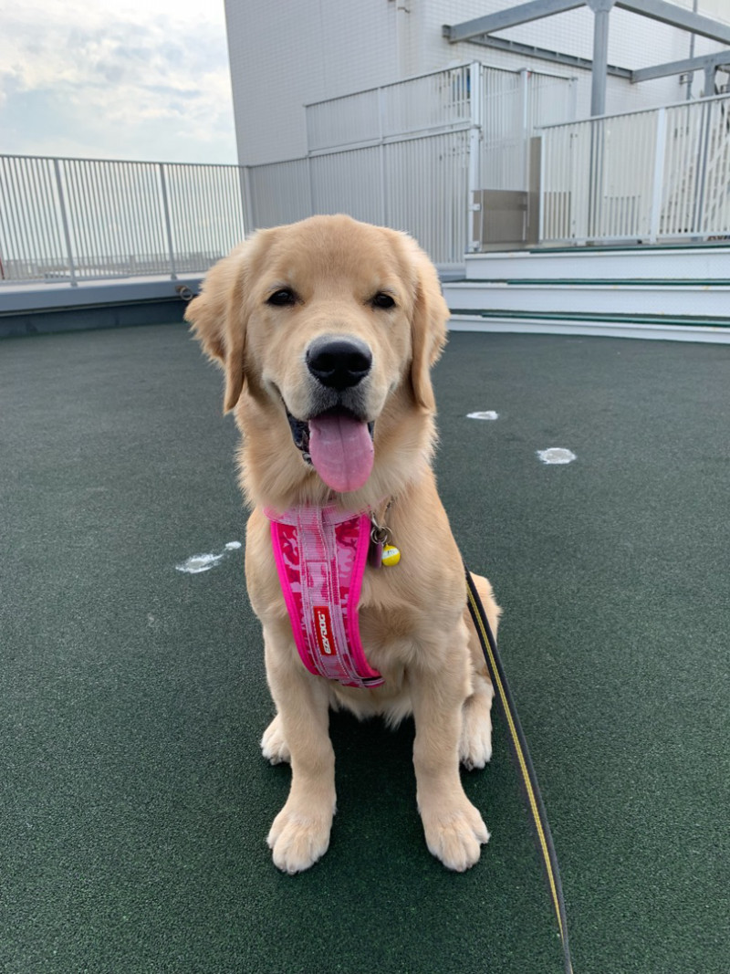 ファイル 6748-2.jpg