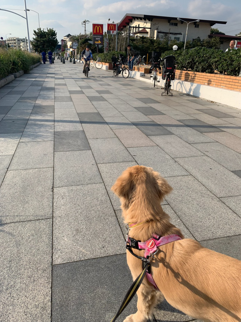 ファイル 6748-4.jpg