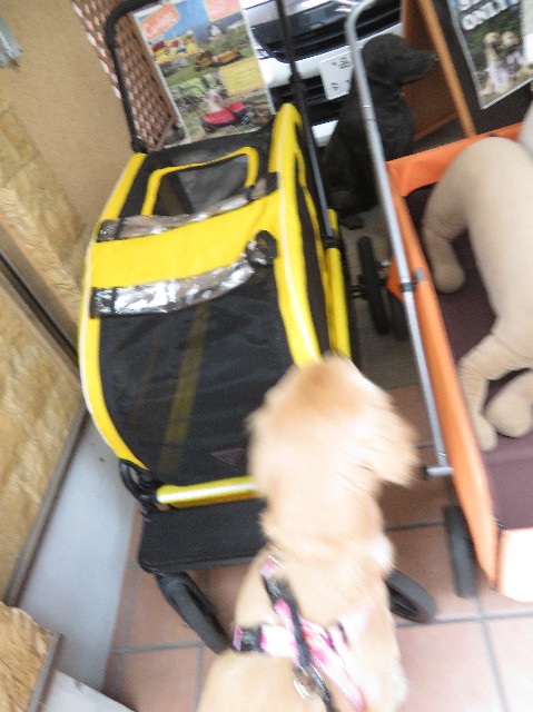 ファイル 6749-2.jpg