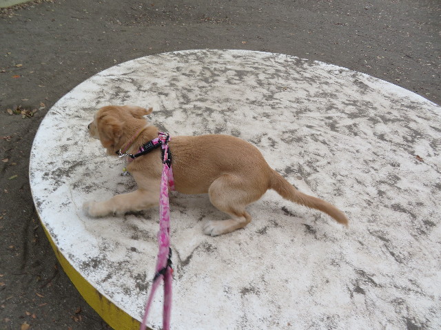 ファイル 6749-4.jpg