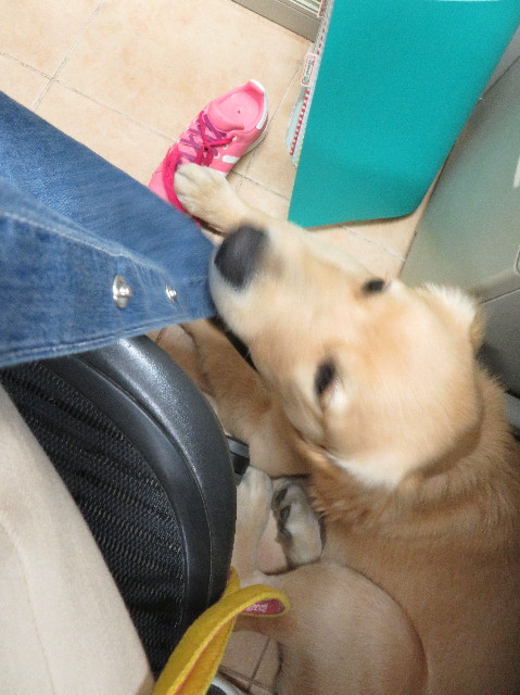 ファイル 6749-5.jpg