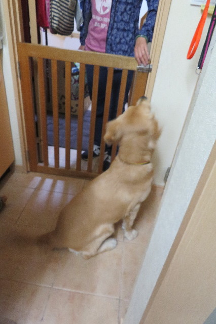 ファイル 6750-1.jpg