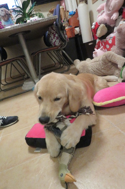 ファイル 6750-3.jpg