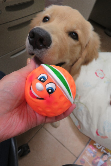 ファイル 6750-4.jpg