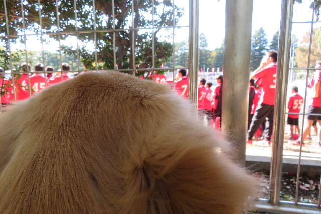 ファイル 6752-5.jpg