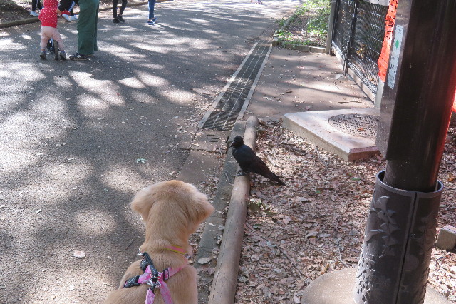 ファイル 6753-1.jpg