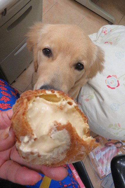 ファイル 6753-3.jpg