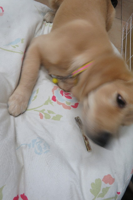 ファイル 6753-5.jpg