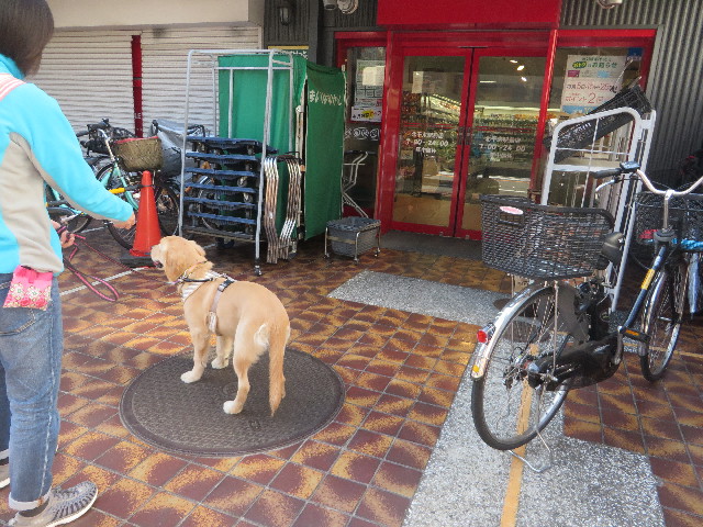 ファイル 6754-3.jpg