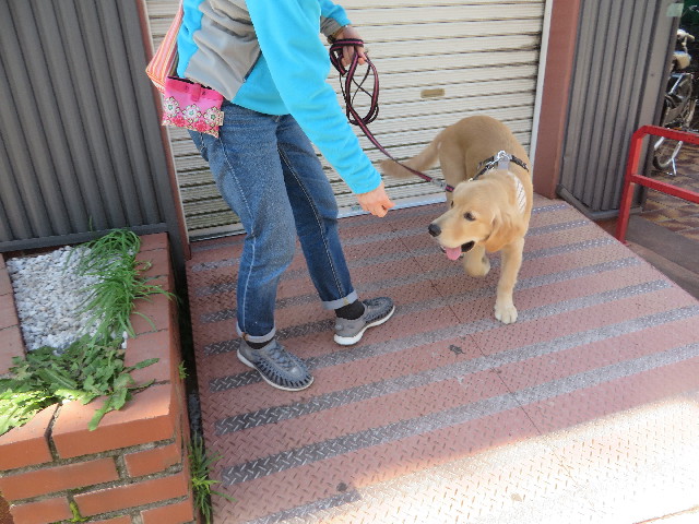 ファイル 6754-4.jpg