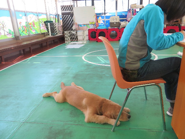 ファイル 6754-5.jpg