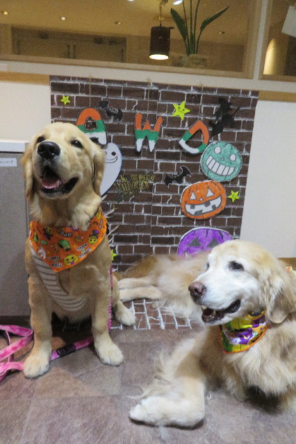 ファイル 6755-3.jpg