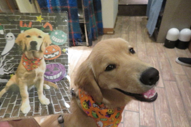 ファイル 6755-5.jpg