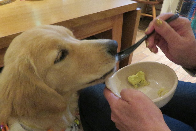 ファイル 6756-2.jpg