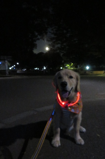 ファイル 6757-1.jpg