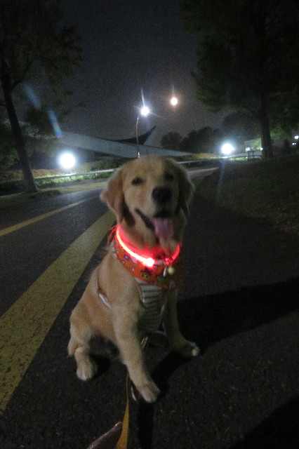 ファイル 6757-2.jpg