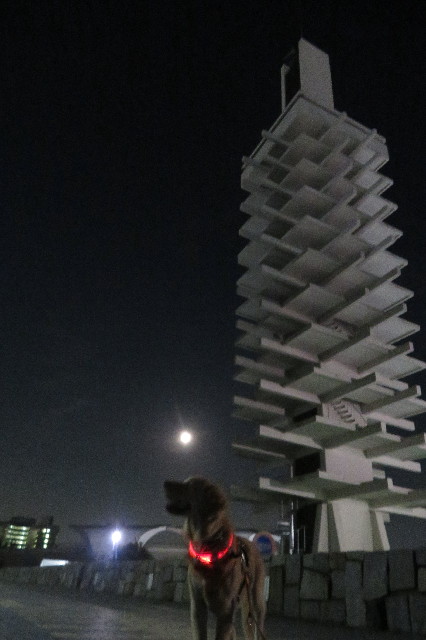 ファイル 6757-3.jpg