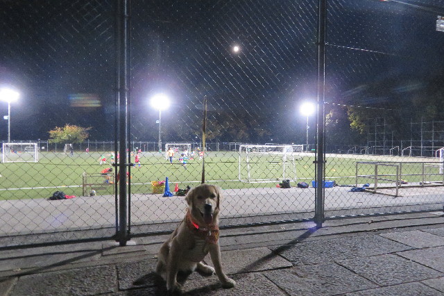 ファイル 6757-4.jpg