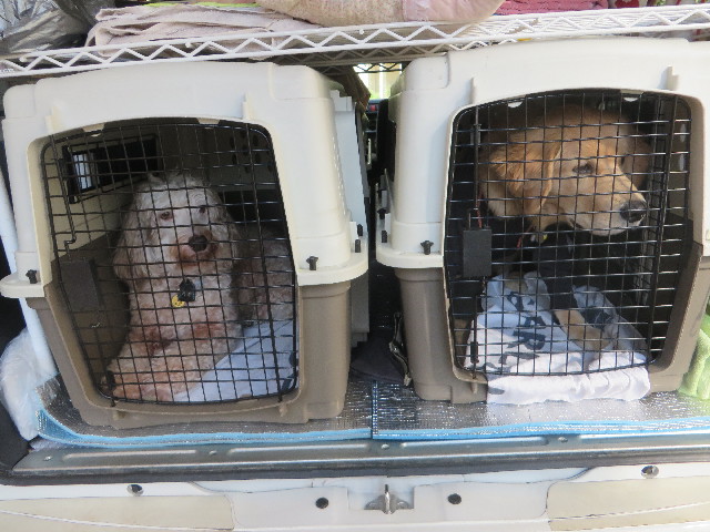 ファイル 6758-1.jpg